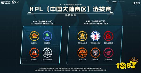 比赛的球迷 比赛的球迷