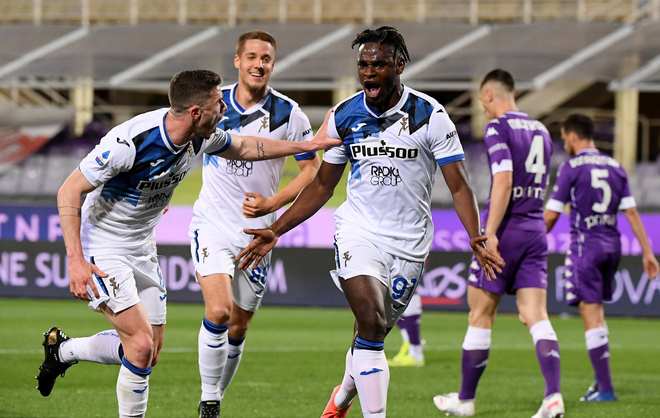 雄鹿以整体 雄鹿以整体